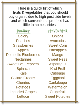 Toxic Food List